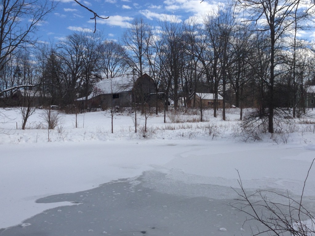 Pond 1-5-14 14